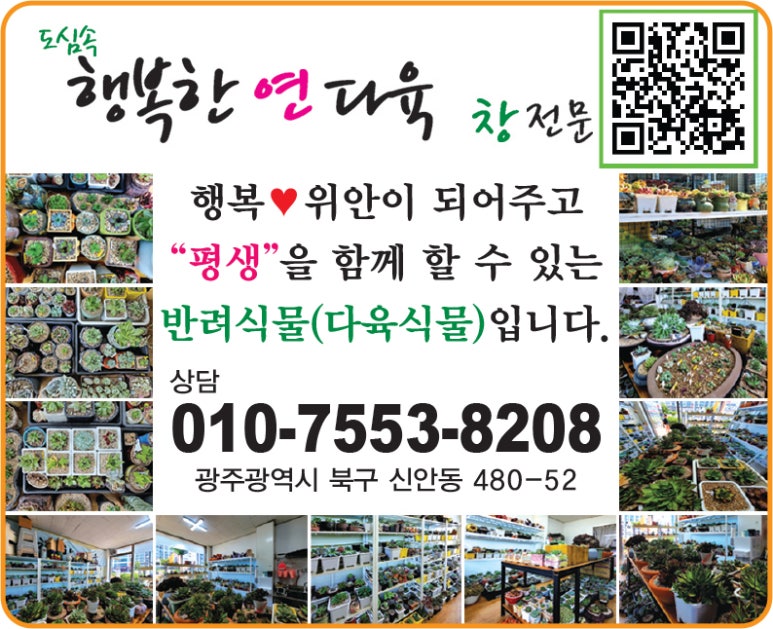 도심속행복한연다육 이미지