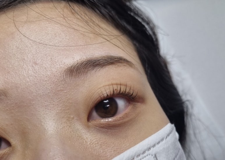 캣츠래쉬 이미지