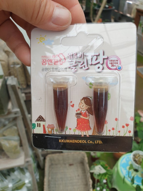 클린팡 이미지