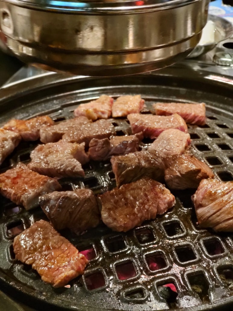 검은소새끼 이미지