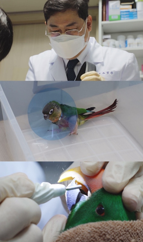 우리조류농장 이미지