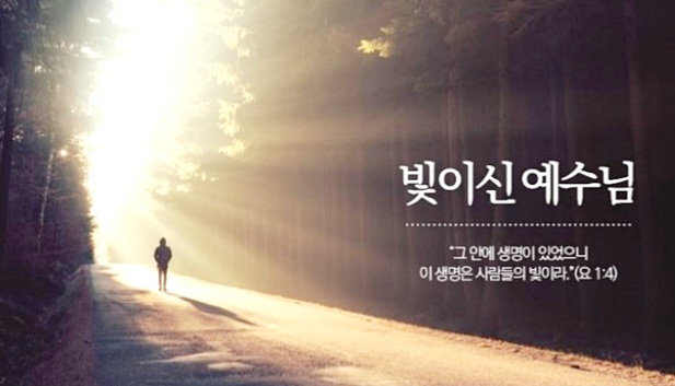 세상의빛 이미지
