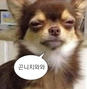 쏠레미오(주) 이미지