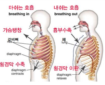 더우아 이미지