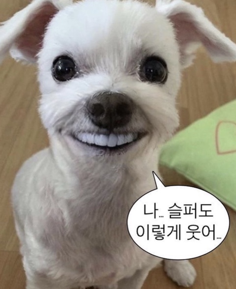 월간주영 이미지