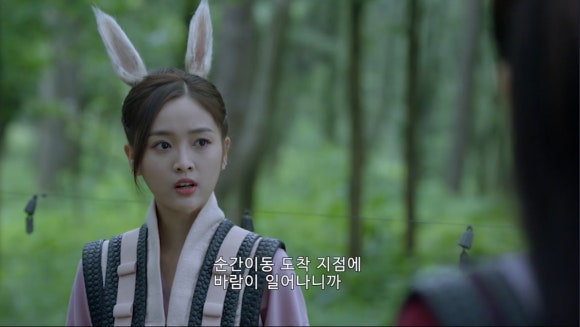 대유사 이미지