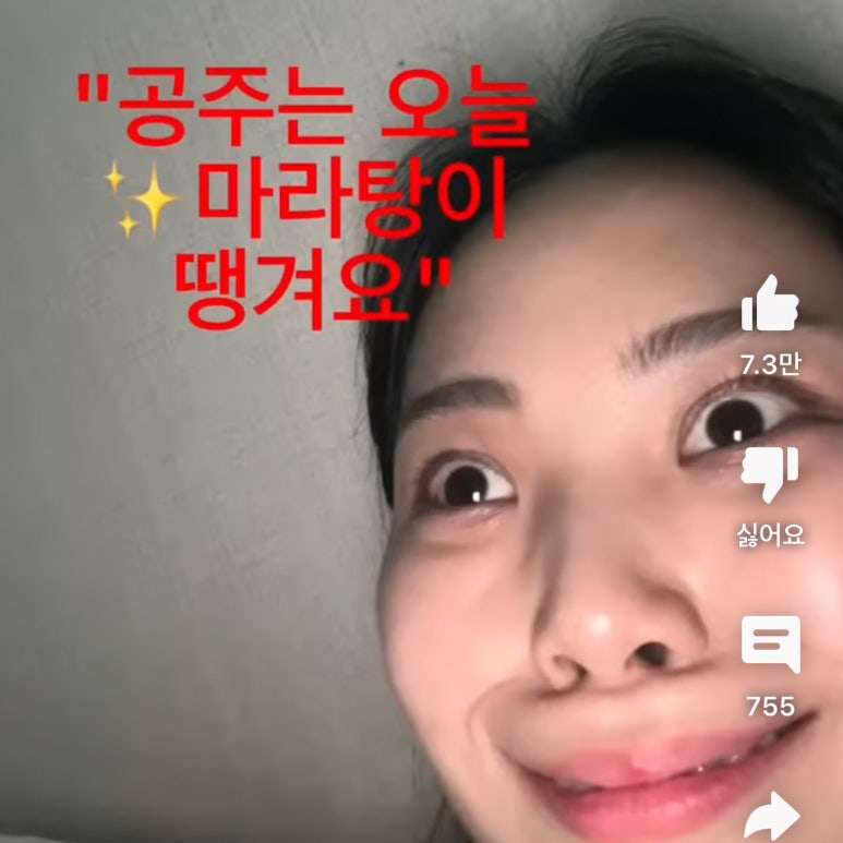 그릭판다 이미지
