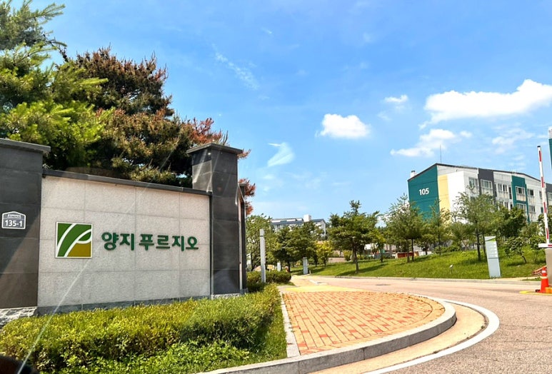 양지화장품 이미지