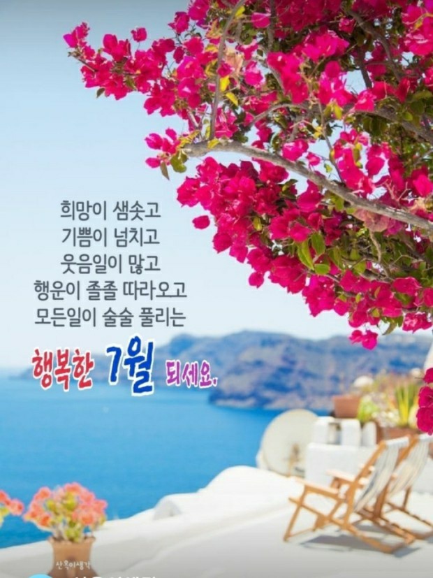 피누스스토어온새미로 이미지