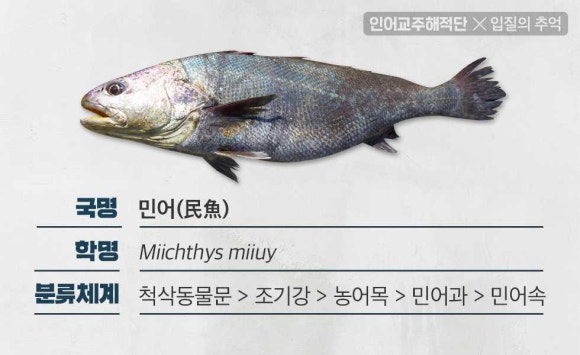 민어나라 이미지
