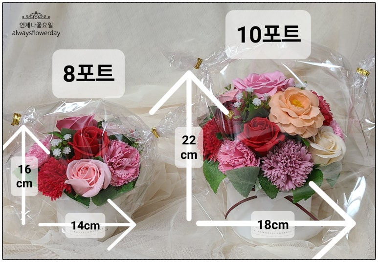 언제나꽃 이미지