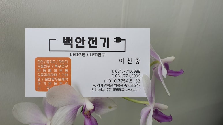 백안전기 이미지