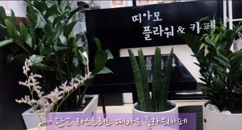 띠아모플라워&커피데이 이미지