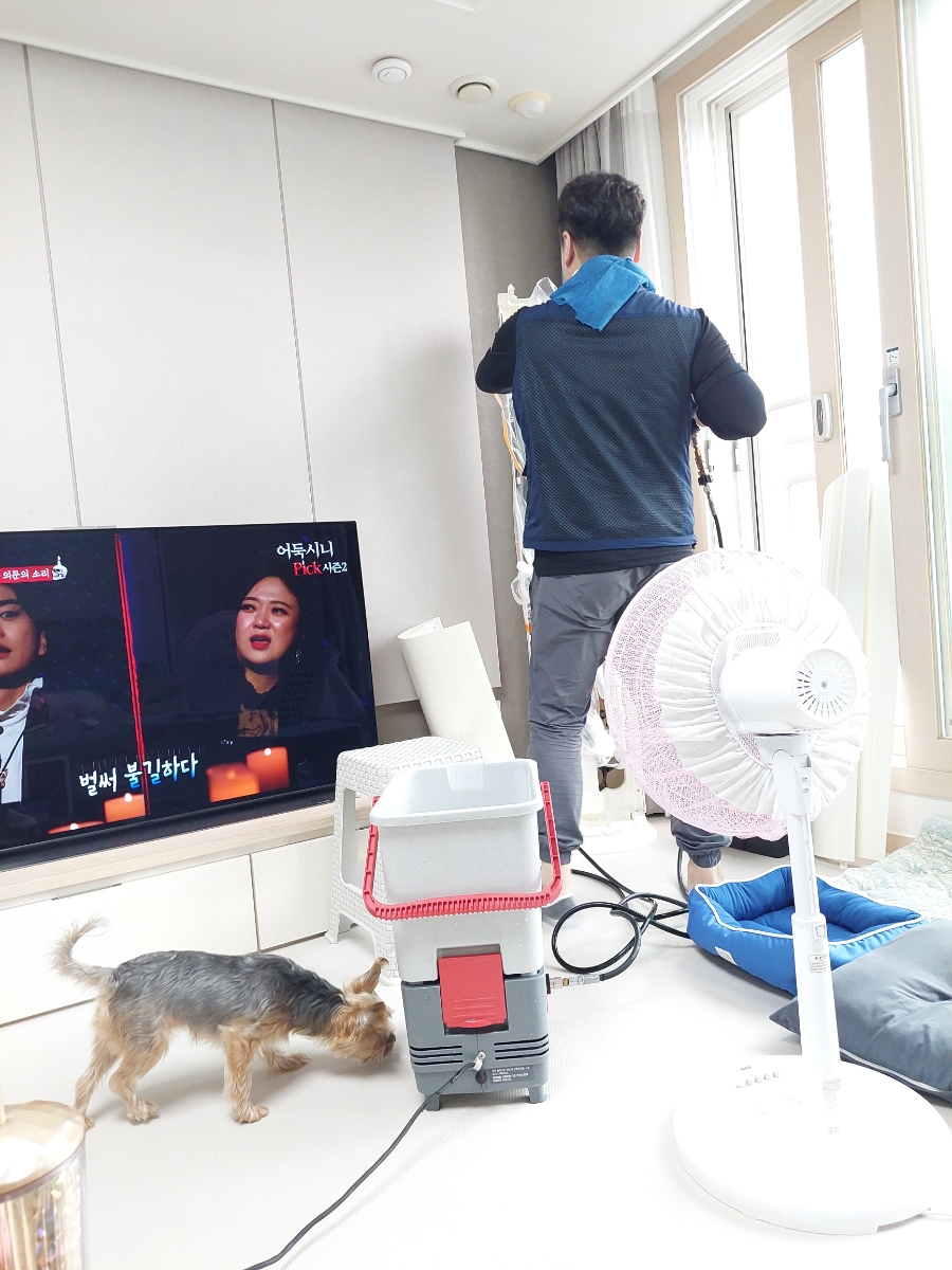 클린갤러리아 이미지