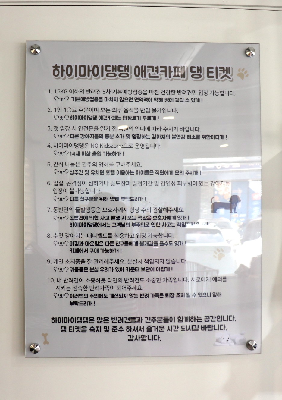 하이마이댕댕 이미지