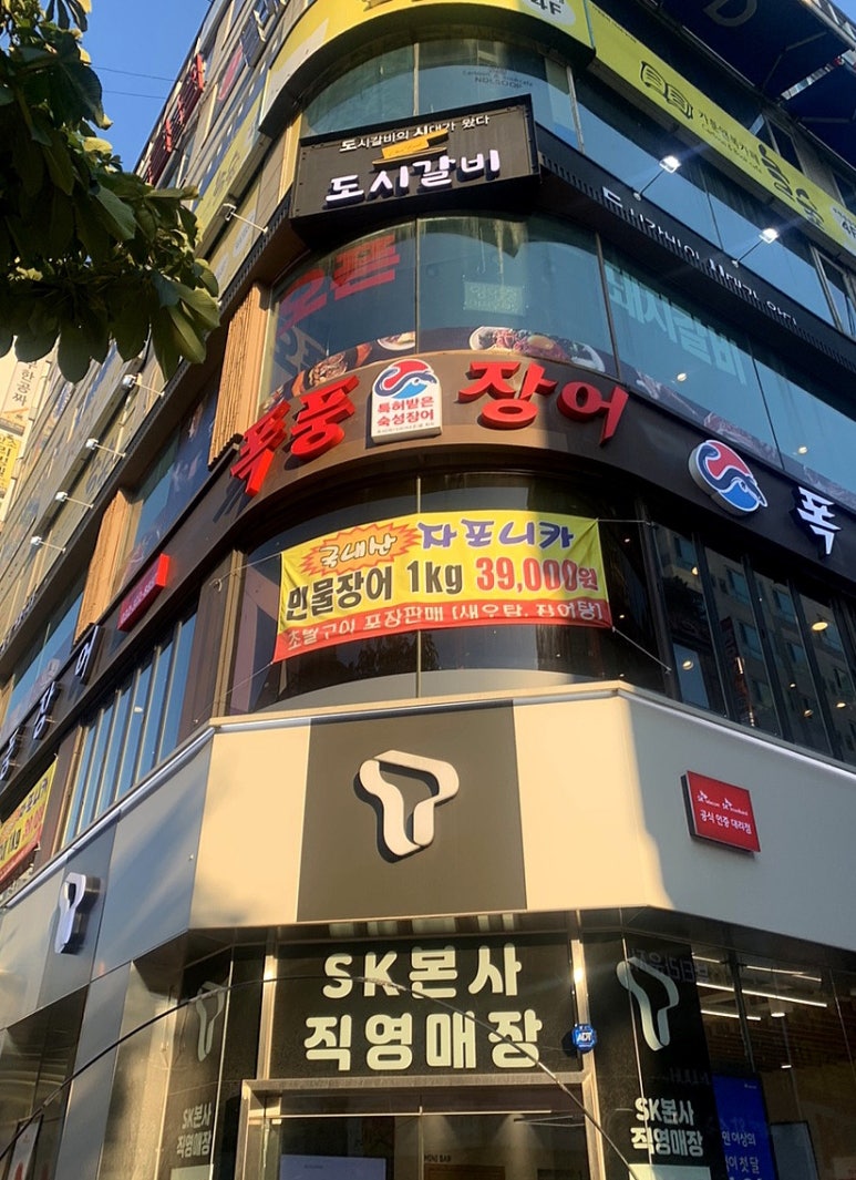폭풍장어중동 이미지