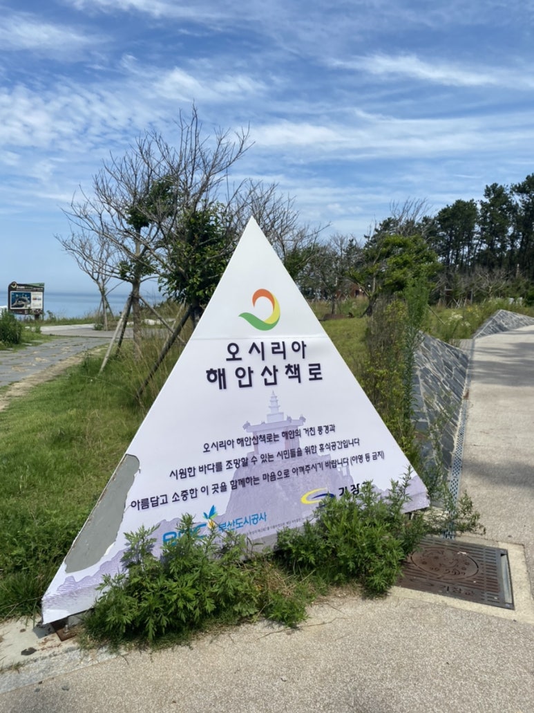 오시리가시리 이미지