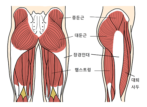 약손경락 이미지