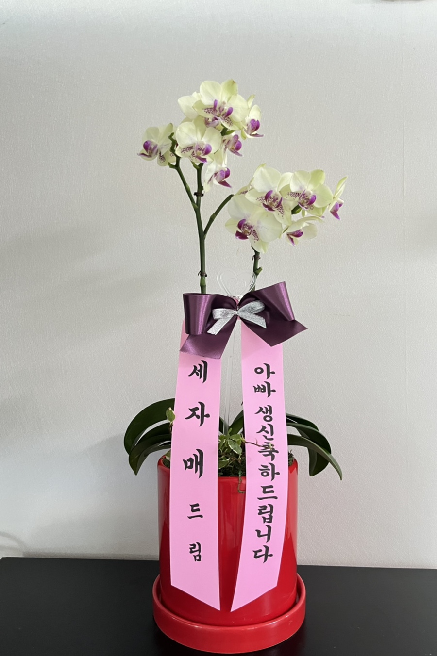 들꽃피는화원 이미지