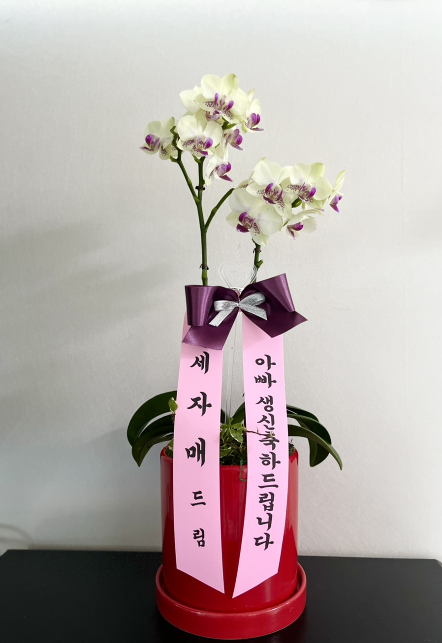 들꽃피는화원 이미지