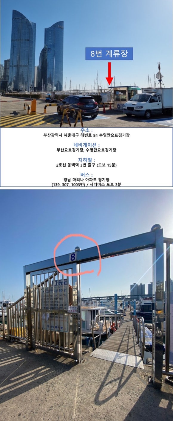 타러가요트 이미지