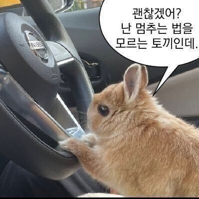 대성장의개발 이미지