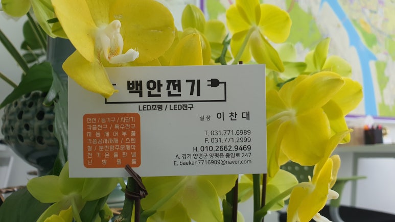 백안전기 이미지