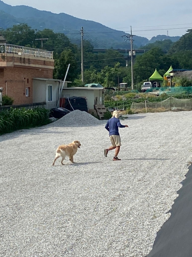 행복매지매지 이미지