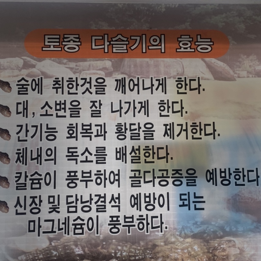 동강다슬기마을 이미지