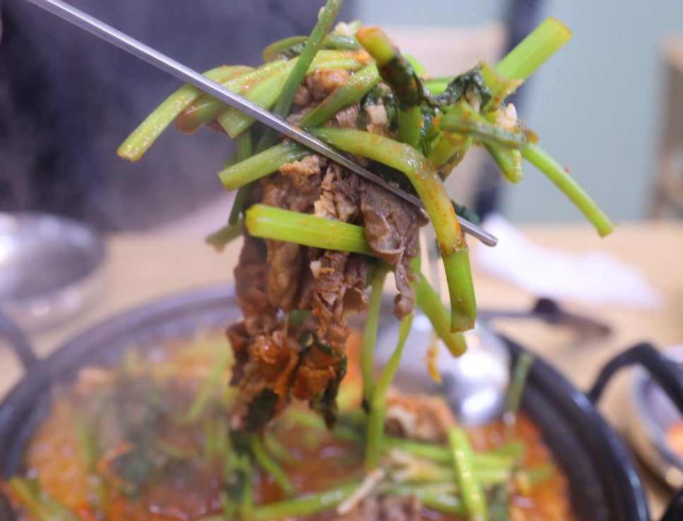 참마루등촌칼국수 이미지
