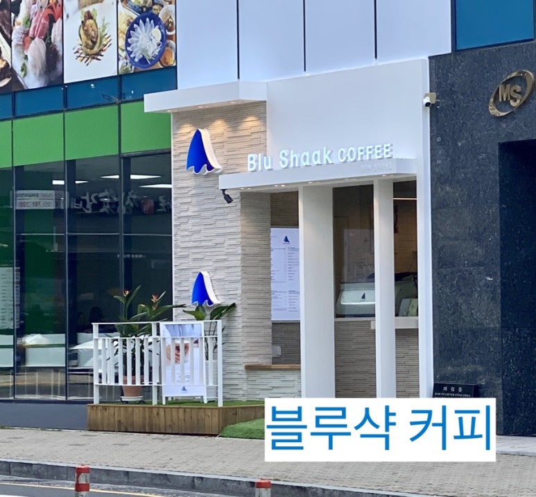 블루샥진주 이미지