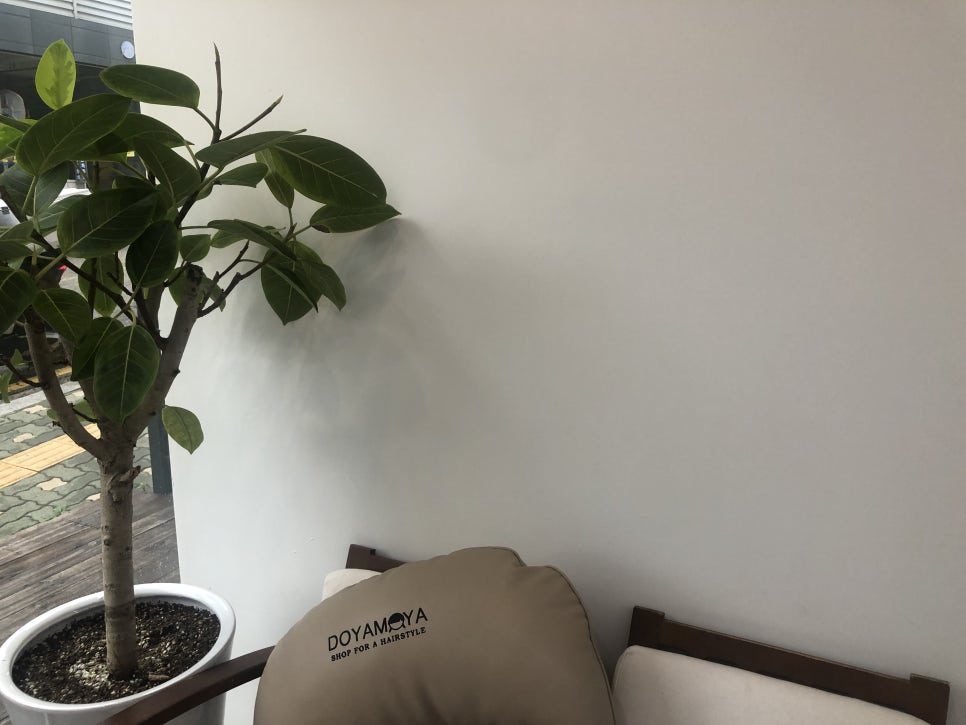 두야모야 이미지