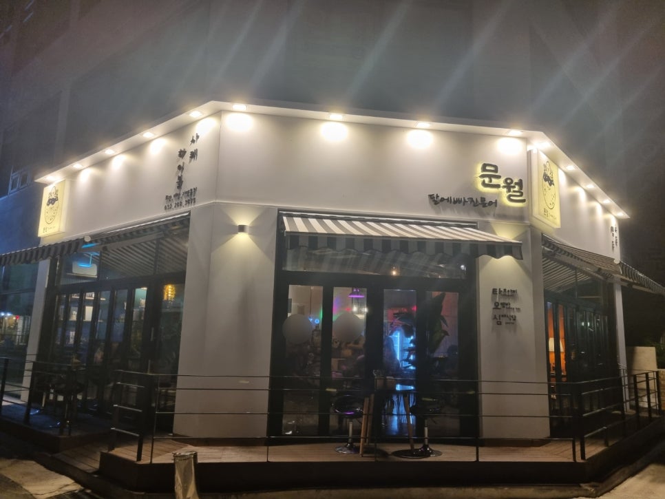 문월:달에 빠진 문어 이미지