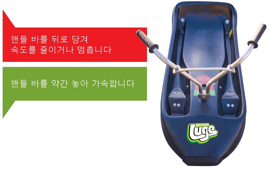 스카이라인투어 이미지