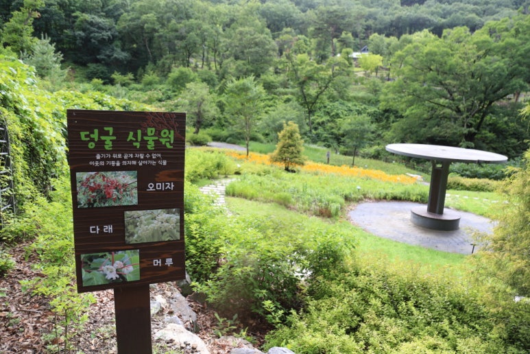 공주산림휴양마을 이미지