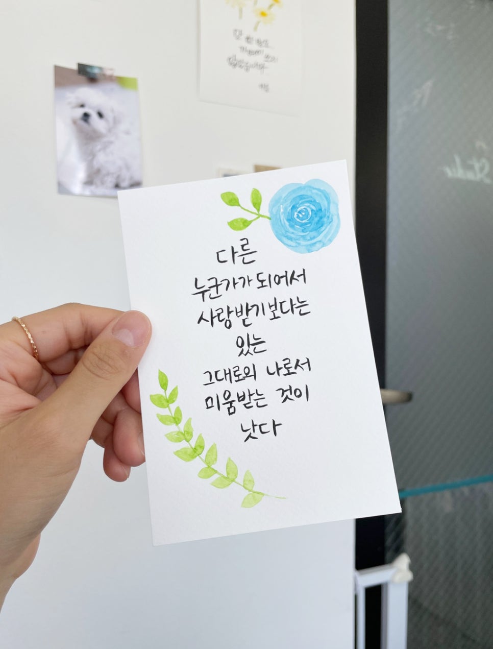 익사한생선스튜디오 이미지