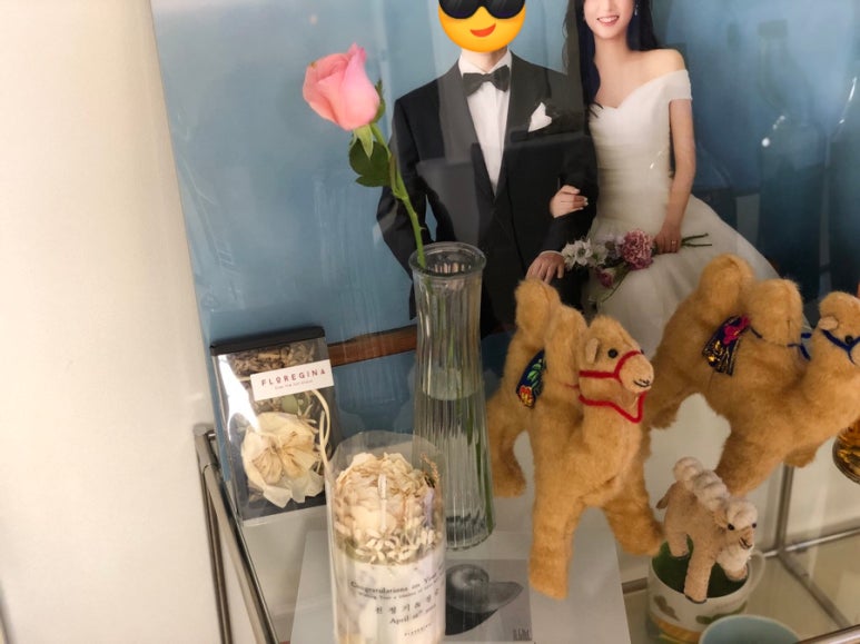 오젯 이미지