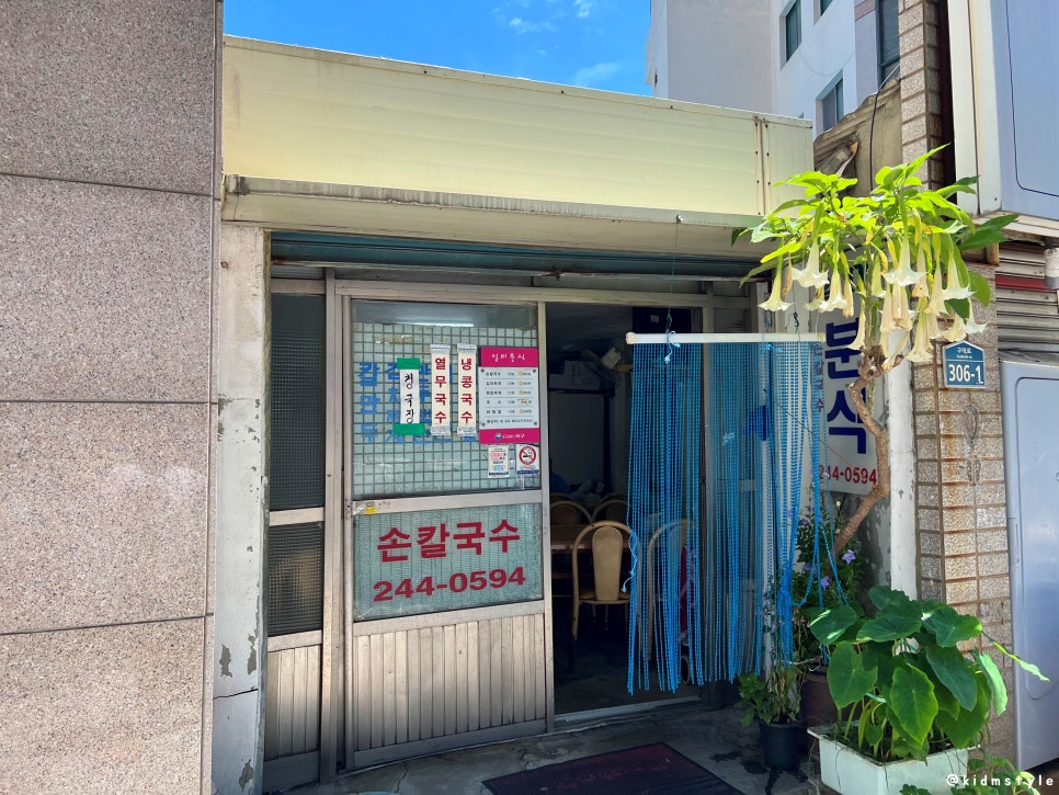 일미손칼국수 이미지