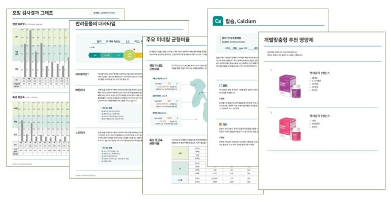 신은영헤어 이미지