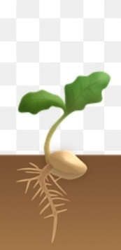 해봄농원 이미지