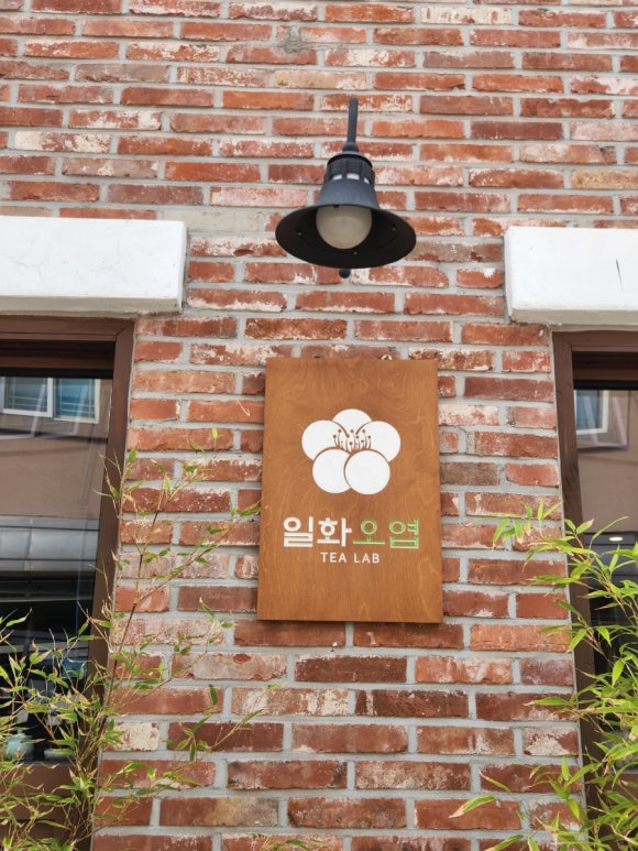 일화오엽 이미지