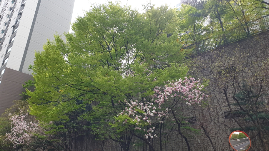 샘물창고 이미지