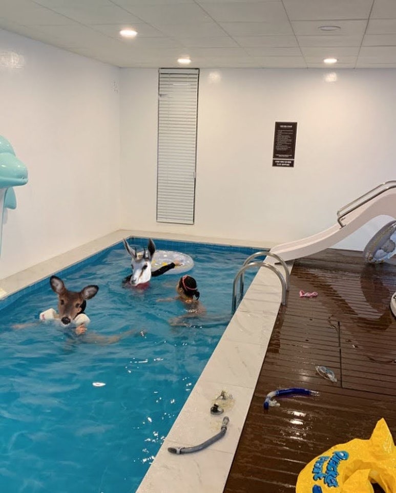 호수창이예쁜가 이미지