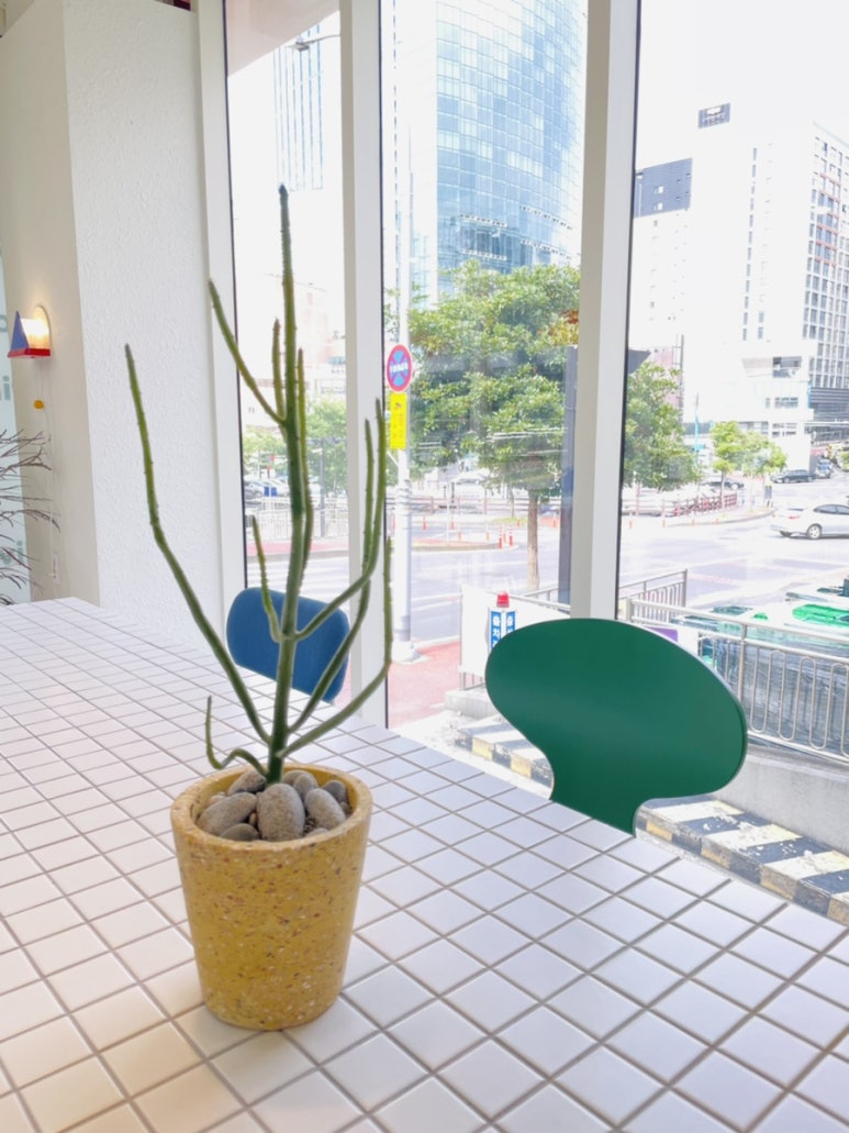포케올데이제주노형점 이미지