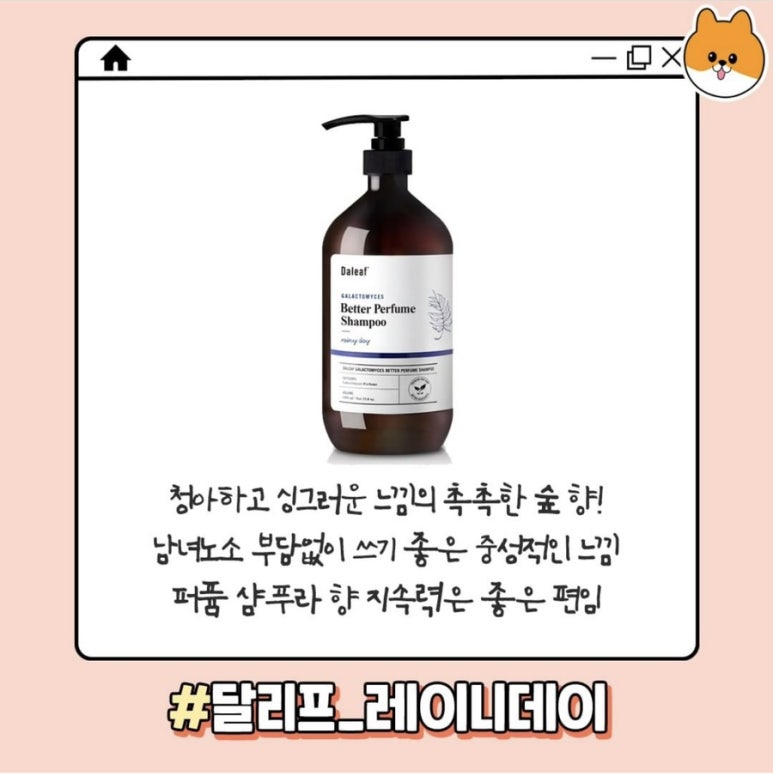 드림오브미 이미지