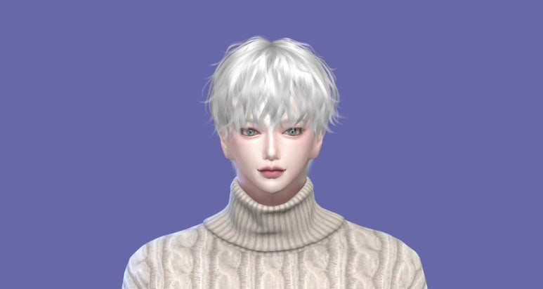 세진여행주 이미지