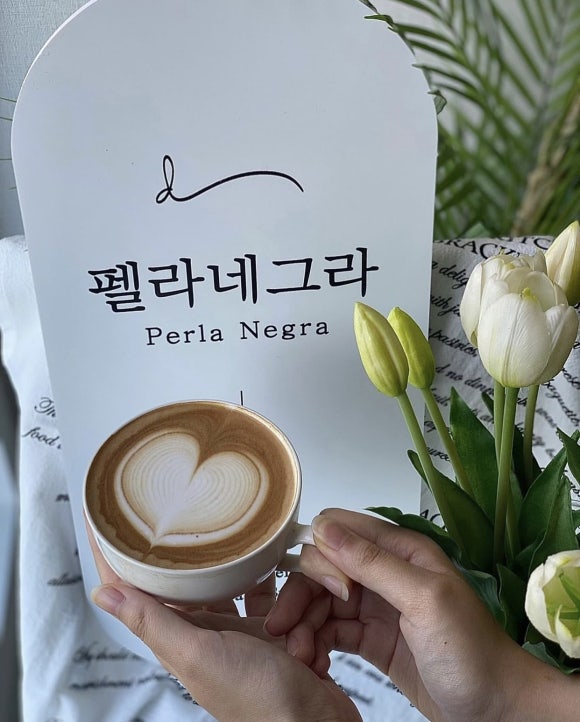 펠라네그라 이미지