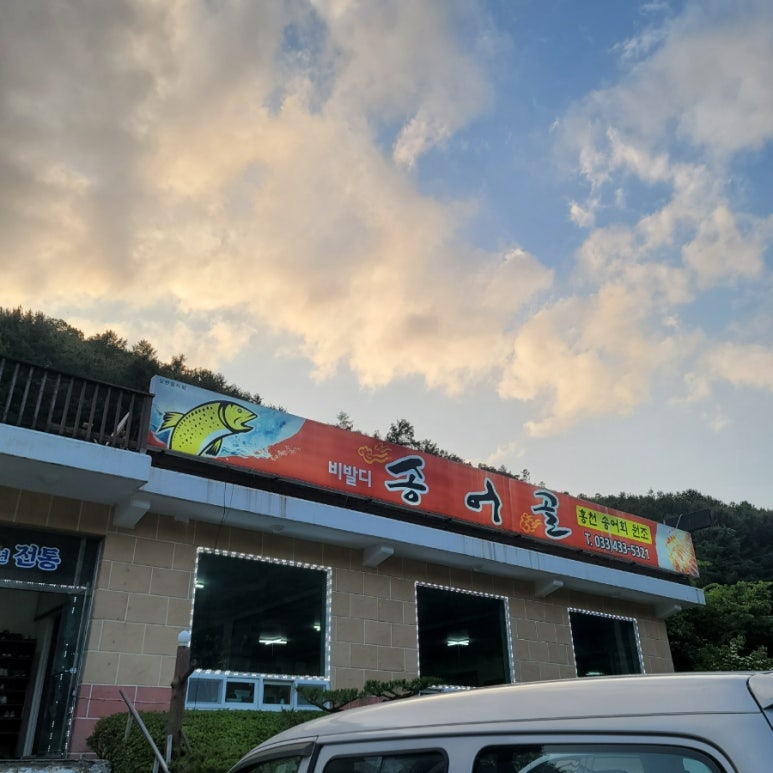 비발디송어골 이미지