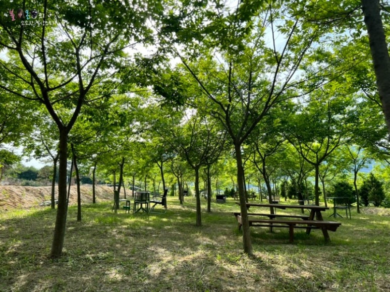 들녘카페 이미지