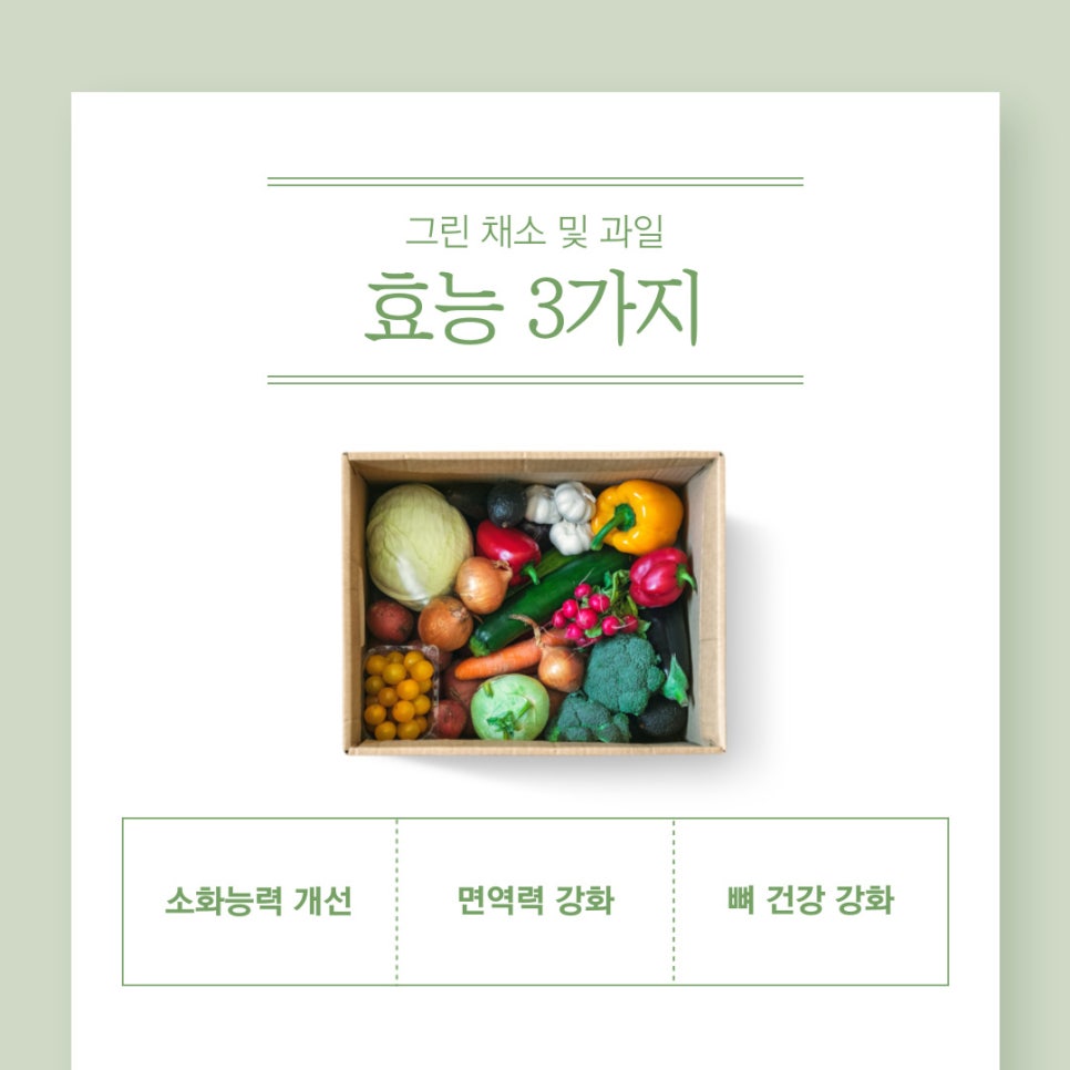 그린스포츠센터 이미지
